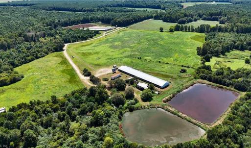 Photo #3 of 27950 Garris Mill Road, Boykins, Virginia 87.0 acres