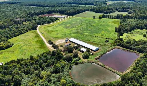 Photo #3 of 27950 Garris Mill Road, Boykins, Virginia 87.0 acres