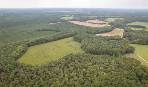 Photo #4 of 102 AC Freeman Mill Road, Suffolk, Virginia 102.0 acres
