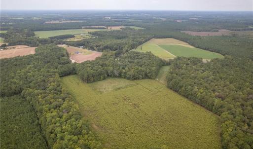 Photo #5 of 102 AC Freeman Mill Road, Suffolk, Virginia 102.0 acres