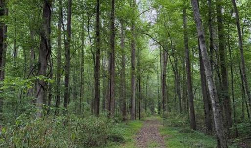 Photo #1 of Lot 33 Trinkle Street, Chesapeake, Virginia 0.2 acres
