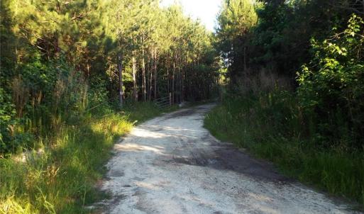 Entrance to the 10 acres