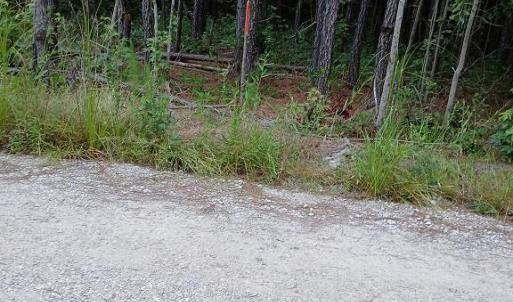 Photo #3 of 801 Brick Yard Road, Emporia, Virginia 10.0 acres