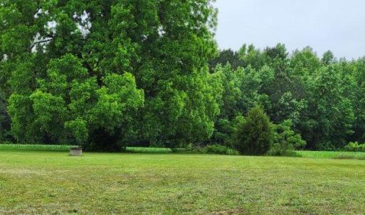 Photo #8 of 4449 Butler Drive, Suffolk, Virginia 1.0 acres