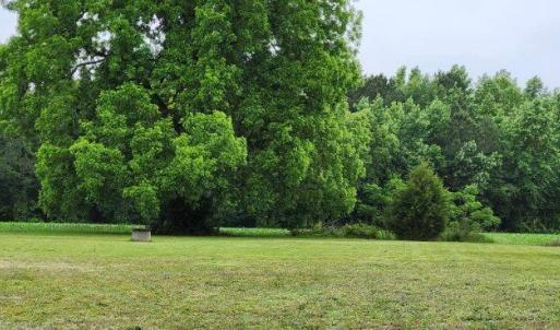 Photo #9 of 4449 Butler Drive, Suffolk, Virginia 1.0 acres