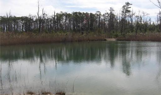 Photo #24 of 4161 Caratoke Highway, Barco, North Carolina 92.4 acres