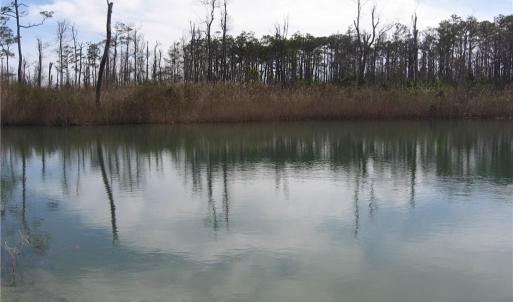 Photo #26 of 4161 Caratoke Highway, Barco, North Carolina 92.4 acres