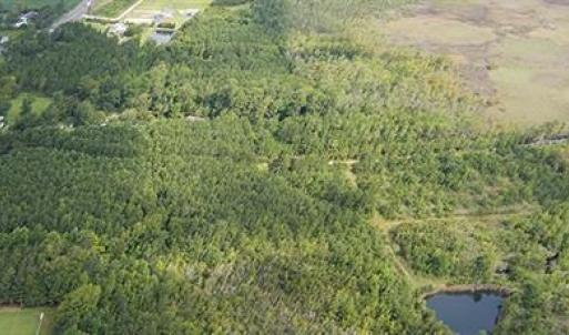 Photo #27 of 4161 Caratoke Highway, Barco, North Carolina 92.4 acres