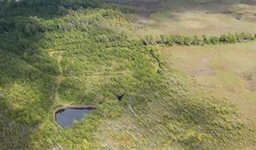 Photo #28 of 4161 Caratoke Highway, Barco, North Carolina 92.4 acres