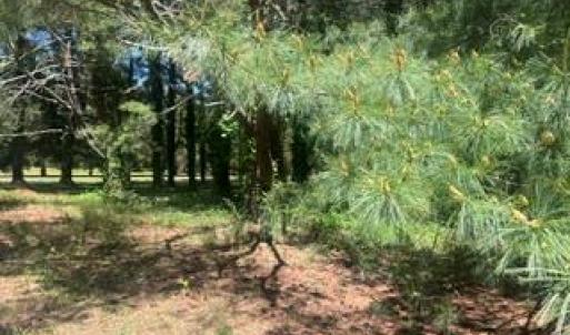 Photo #2 of 1.1+AC Laurel Haven Lane, Wicomico, Virginia 1.5 acres