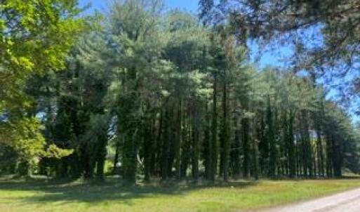 Photo #13 of 1.1+AC Laurel Haven Lane, Wicomico, Virginia 1.5 acres