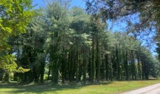 Photo #14 of 1.1+AC Laurel Haven Lane, Wicomico, Virginia 1.5 acres