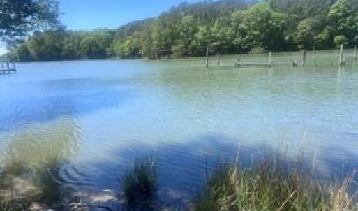 Public landing at the end of Fields Landing Rd. on Timberneck Creek