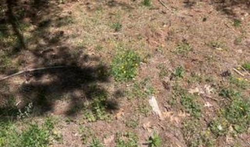Photo #3 of 1.1+AC Laurel Haven Lane, Wicomico, Virginia 1.5 acres