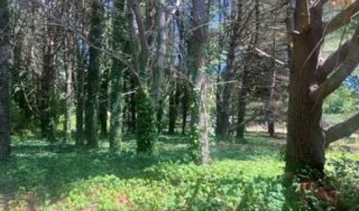 Photo #4 of 1.1+AC Laurel Haven Lane, Wicomico, Virginia 1.5 acres