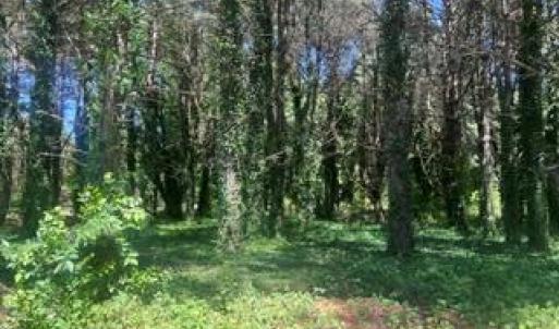 Photo #8 of 1.1+AC Laurel Haven Lane, Wicomico, Virginia 1.5 acres
