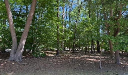 Level Lot with minimal clearing needed