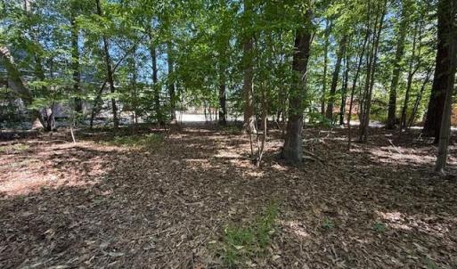 Photo #5 of 220 Ashford Manor, Williamsburg, Virginia 0.4 acres