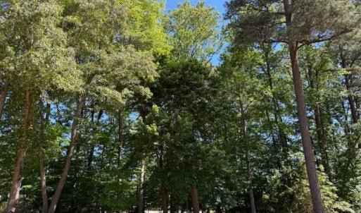 Photo #8 of 220 Ashford Manor, Williamsburg, Virginia 0.4 acres
