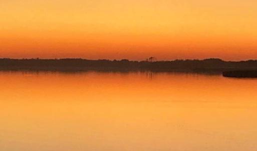 Photo #14 of 3665 Sandpiper Road, Virginia Beach, Virginia