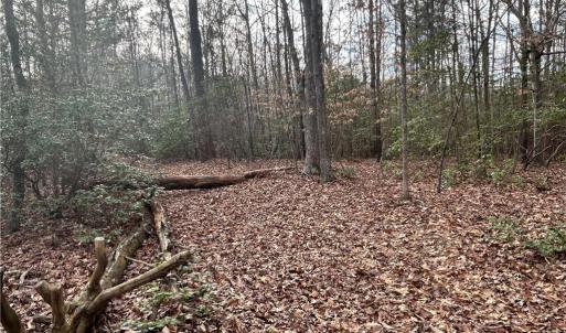 Photo #14 of 3.1+AC Near Cooks Mill Road, Lanexa, Virginia 4.0 acres