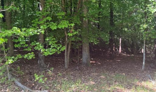 Photo #16 of 3.1+AC Near Cooks Mill Road, Lanexa, Virginia 4.0 acres