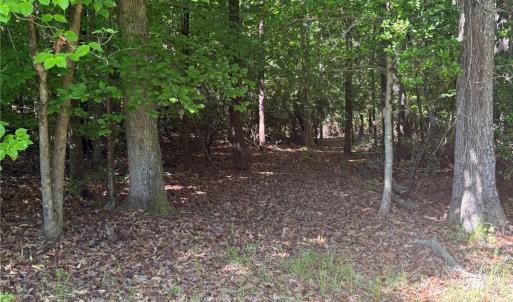 Photo #17 of 3.1+AC Near Cooks Mill Road, Lanexa, Virginia 4.0 acres