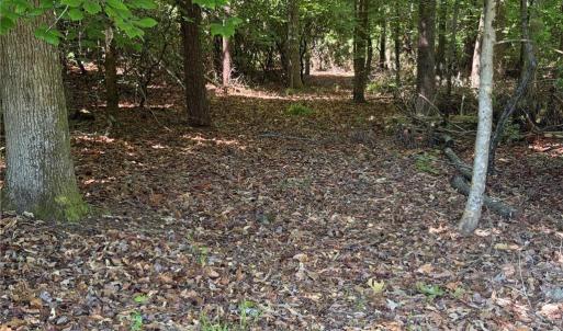 Photo #18 of 3.1+AC Near Cooks Mill Road, Lanexa, Virginia 4.0 acres