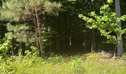 Photo #6 of 3.1+AC Near Cooks Mill Road, Lanexa, Virginia 4.0 acres