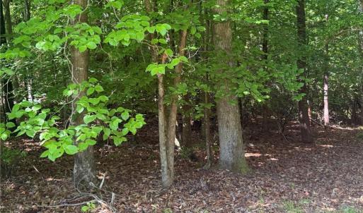 Photo #7 of 3.1+AC Near Cooks Mill Road, Lanexa, Virginia 4.0 acres