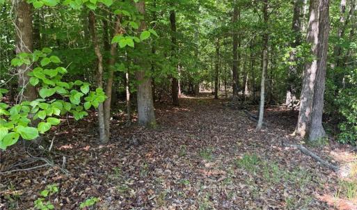Photo #8 of 3.1+AC Near Cooks Mill Road, Lanexa, Virginia 4.0 acres