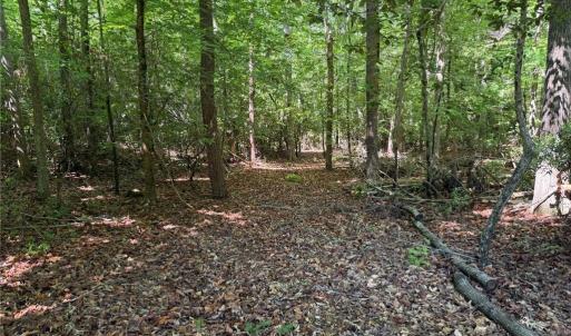 Photo #9 of 3.1+AC Near Cooks Mill Road, Lanexa, Virginia 4.0 acres