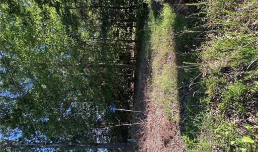 Photo #4 of .26AC Cypress Trail, Gloucester, Virginia 0.3 acres