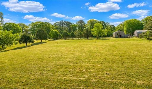 Horse paddock