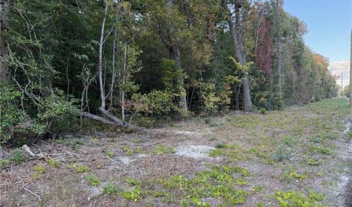 Mainly wooded lot