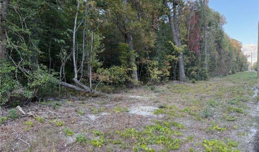 Mainly wooded lot