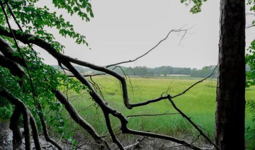Photo #1 of 1350 Moyer Road, Newport News, Virginia 3.4 acres