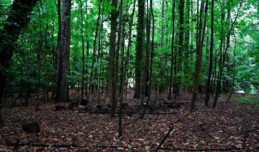 Photo #11 of 1350 Moyer Road, Newport News, Virginia 3.4 acres