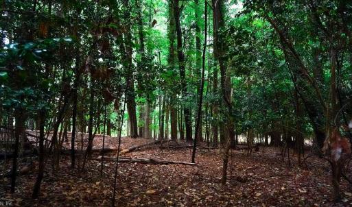 Photo #12 of 1350 Moyer Road, Newport News, Virginia 3.4 acres