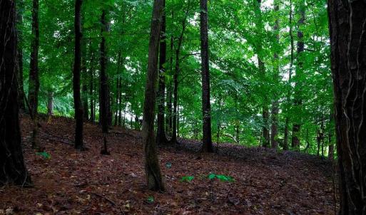 Photo #15 of 1350 Moyer Road, Newport News, Virginia 3.4 acres