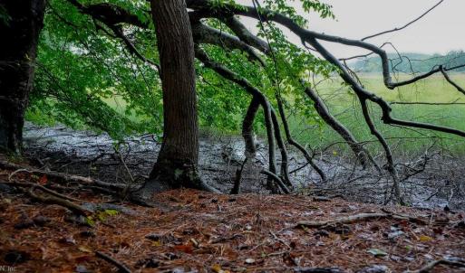 Photo #17 of 1350 Moyer Road, Newport News, Virginia 3.4 acres
