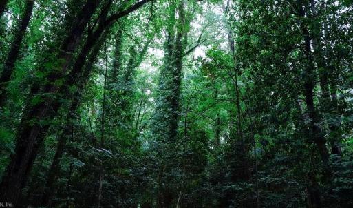 Photo #18 of 1350 Moyer Road, Newport News, Virginia 3.4 acres