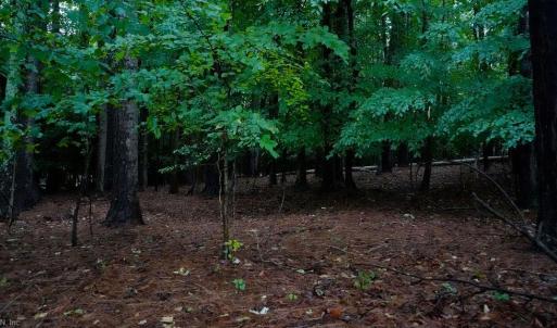 Photo #3 of 1350 Moyer Road, Newport News, Virginia 3.4 acres
