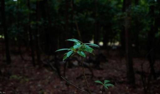 Photo #22 of 1350 Moyer Road, Newport News, Virginia 3.4 acres