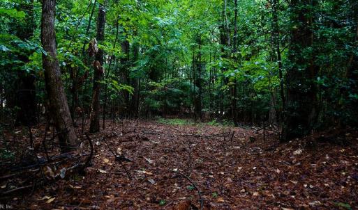 Photo #5 of 1350 Moyer Road, Newport News, Virginia 3.4 acres