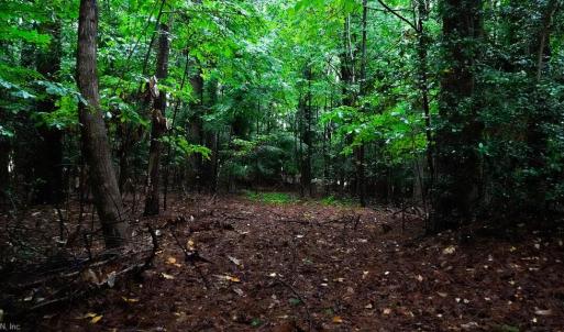 Photo #6 of 1350 Moyer Road, Newport News, Virginia 3.4 acres