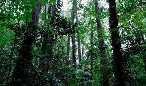 Photo #7 of 1350 Moyer Road, Newport News, Virginia 3.4 acres