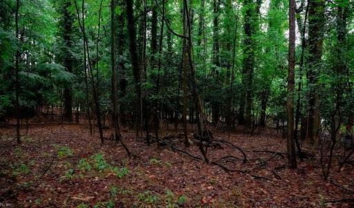 Photo #9 of 1350 Moyer Road, Newport News, Virginia 3.4 acres