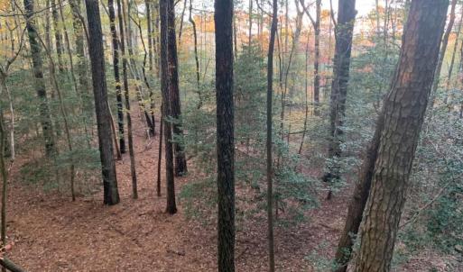 Photo #3 of 10+AC Groton Tract A Woods, Onancock, Virginia 11.8 acres