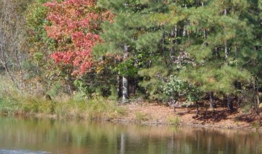 Photo #7 of 1445 Morgarts Beach Road, Smithfield, Virginia 17.9 acres